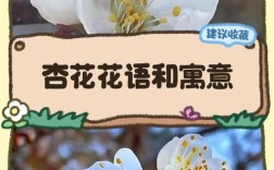 杏花是几月开的？