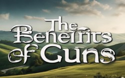 持枪好处多？安全与自由的平衡点在哪？