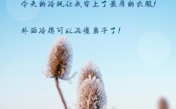 好冷口语，冷的口语
