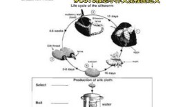 雅思小作文线图思路，雅思小作文线图模板