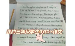 少儿剑桥3作文，剑桥少儿英语三级作文范文