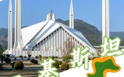 巴基斯坦两大教育政策有何影响与挑战？