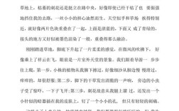 武汉小龟山作文