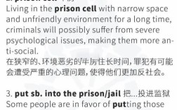 雅思作文 罪犯处置，雅思作文犯罪类话题