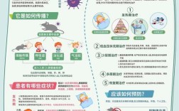 幼儿预防出血热小常识