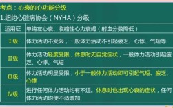 心律失常识别考核标准