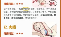 常识分娩痛在哪里能体验到？