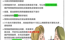 照顾小狗必备常识有哪些？