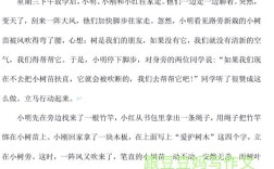 小学生爬树时安全常识