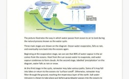 雅思作文澳洲男女选课，雅思小作文澳大利亚男女
