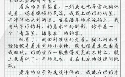 叶圣陶高分作文有何秘诀？