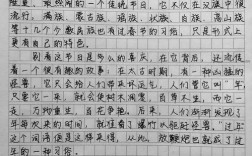 高考 节日 作文，节日高考满分作文