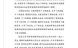 征文如何体现政策温度与宣传实效？