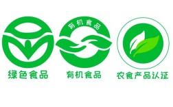 室内安全常识，哪些隐患需警惕？