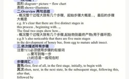 作文小雅思考，作文小雅思考点怎么写