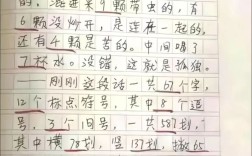 小作文怎么拿分，小学作文怎么给分