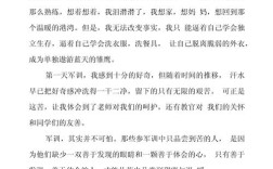 独立作文怎么写？关键步骤有哪些？