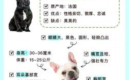 法国斗牛犬耳朵护理要注意什么？