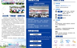 苍南县教育人才政策有何亮点？