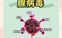 腺病毒防控常识课件