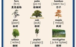 雅思口语 part2 植物，雅思口语植物话题