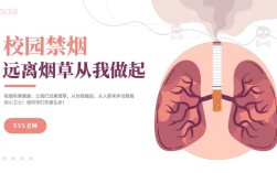 安全教育及吸烟