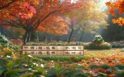 秋季养生四宝具体指哪四样？