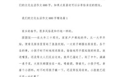 小站文化作文，小站作文800字