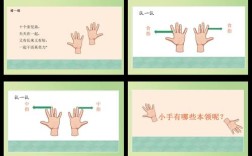 幼儿保护手的基本常识有哪些？