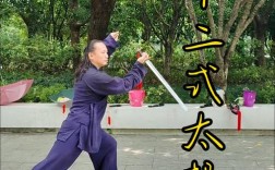 太极剑基本常识视频，初学者该从何学起？