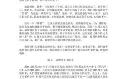 用动物做实验作文，用动物做实验作文400字