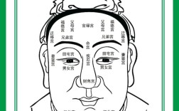 面相术是科学还是迷信？