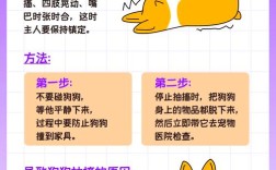 法斗犬预防常识有哪些关键点？