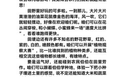 我们去旅游口语交际，我们去旅游口语交际怎么写