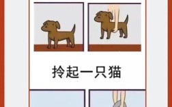 宠物猫狗必知常识有哪些？