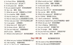 英语口语自学教材推荐