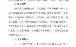 教育信息化政策如何落地？