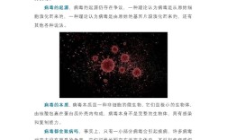新冠病毒小常识有哪些关键要点？