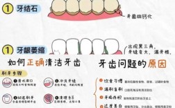 保护牙齿，这些基本常识你真的懂吗？