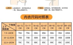 胸罩尺码怎么选？销售需掌握哪些基本常识？