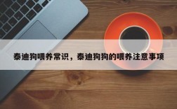 泰迪狗喂养常识，泰迪狗狗的喂养注意事项