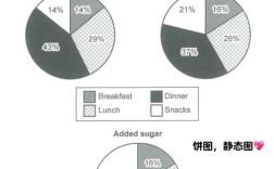 雅思饼图作文怎么写？