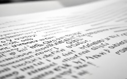 雅思小作文TA究竟指什么？