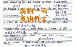 我学校的一天英语作文，我学校的一天英语作文七年级
