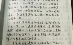 高中小作文双双截