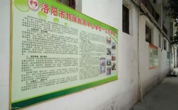 洛阳限行政策对特殊教育学生有何特殊安排？