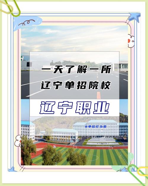 辽宁省职业教育集团政策