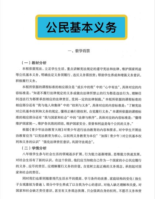 义务教育政策的执行力