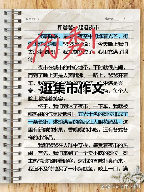 写兴庆区的作文