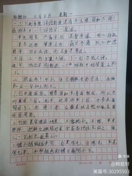 写兴庆区的作文